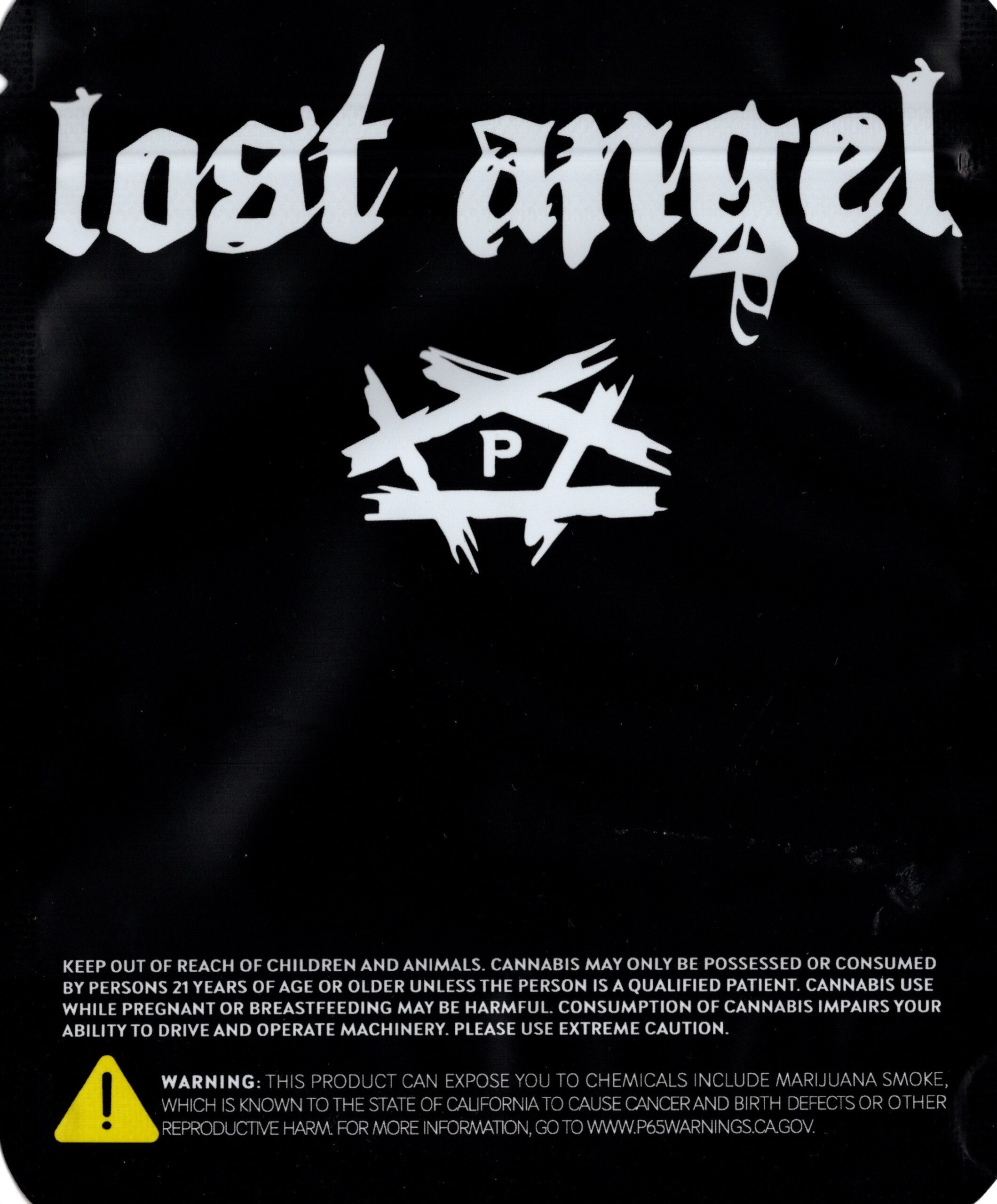 LOST ANGEL