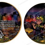 3D Pioneer Extracts Mylar Flower 3.5 Bag *Empty Bags* (CaSupply) #3D