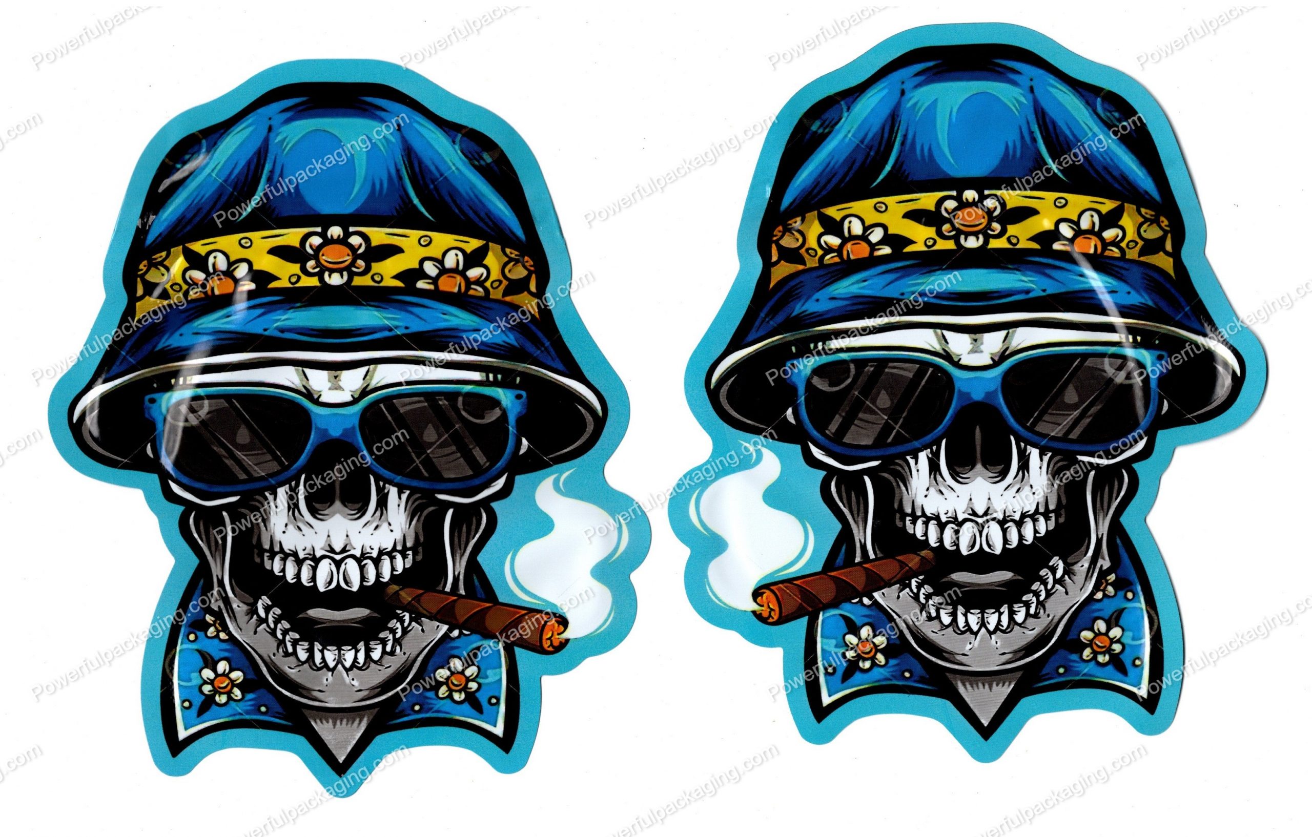 Vacation Skull Generic 3D Mylar Shaped Bag 3.5g Flower Packaging *Empty Bags* (CAsupply)